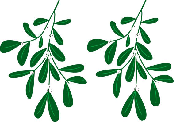 Sanjati IMELU – detaljno tumačenje –