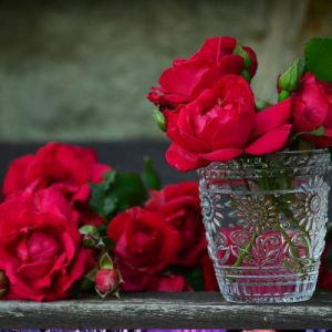 Najpopularnije cvijeće koje se poklanja na Valentinovo