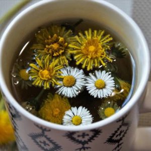 Čaj od maslačka za mršavljenje i protiv celulita
