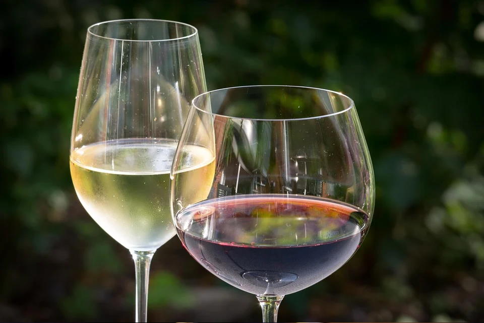 MARTINJE uz najbolja hrvatska vina – popis s preko 200 najboljih hrvatskih vina