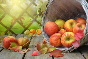 Jabuka kalorije - Koliko kalorija ima jedna jabuka?