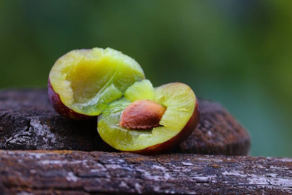 Domaći jednostavni pekmez od šljiva