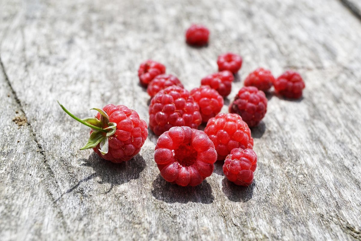 Maline nutritivna vrijednost