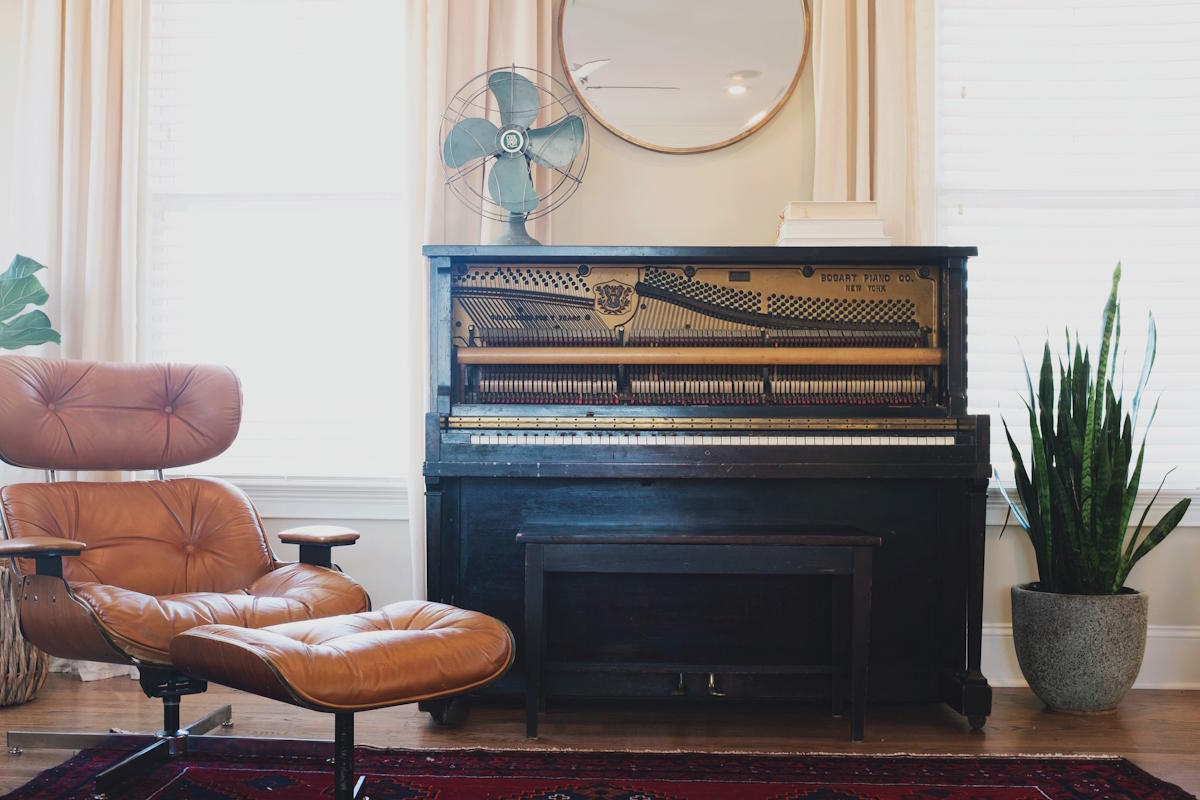 Simbolika sanseverije: Značenje, energija i poruke ove moćne biljke